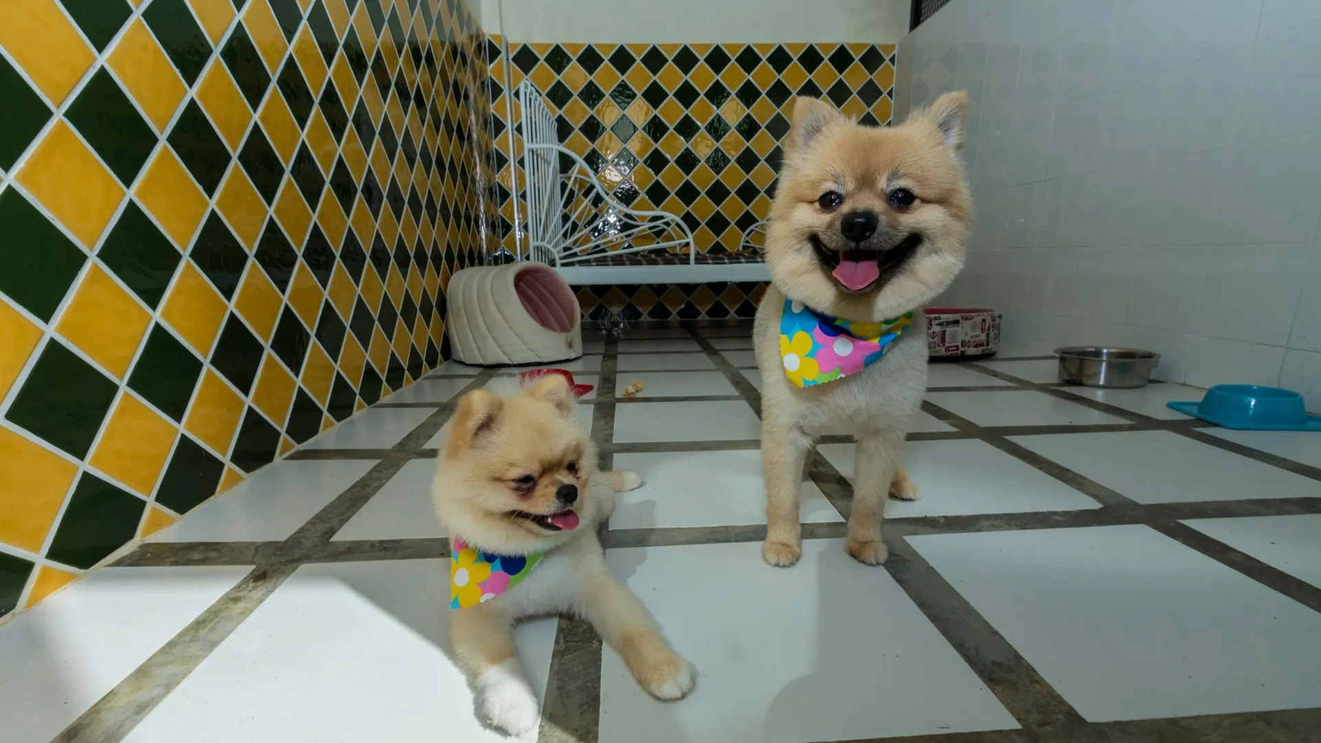 Фото: Bussakorn Ewesakul/Shutterstock/Fotodom