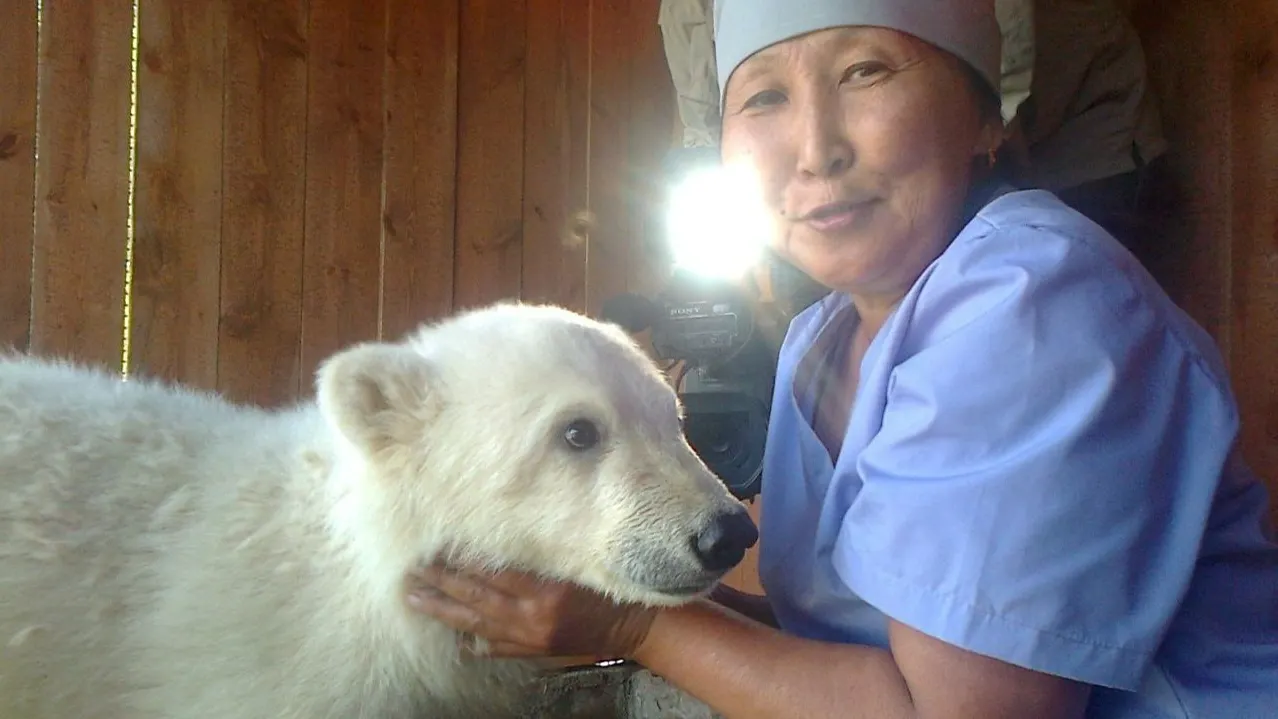 Маленькая Колымана попала в зоопарк. Фото: пресс-служба Якутского зоопарка «Орто-Дойду»