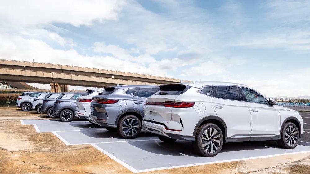 Фото: Cara Kate/Shutterstock/Fotodom