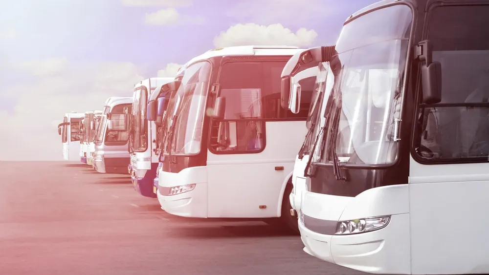 Фото: Mikbiz/shutterstock.com