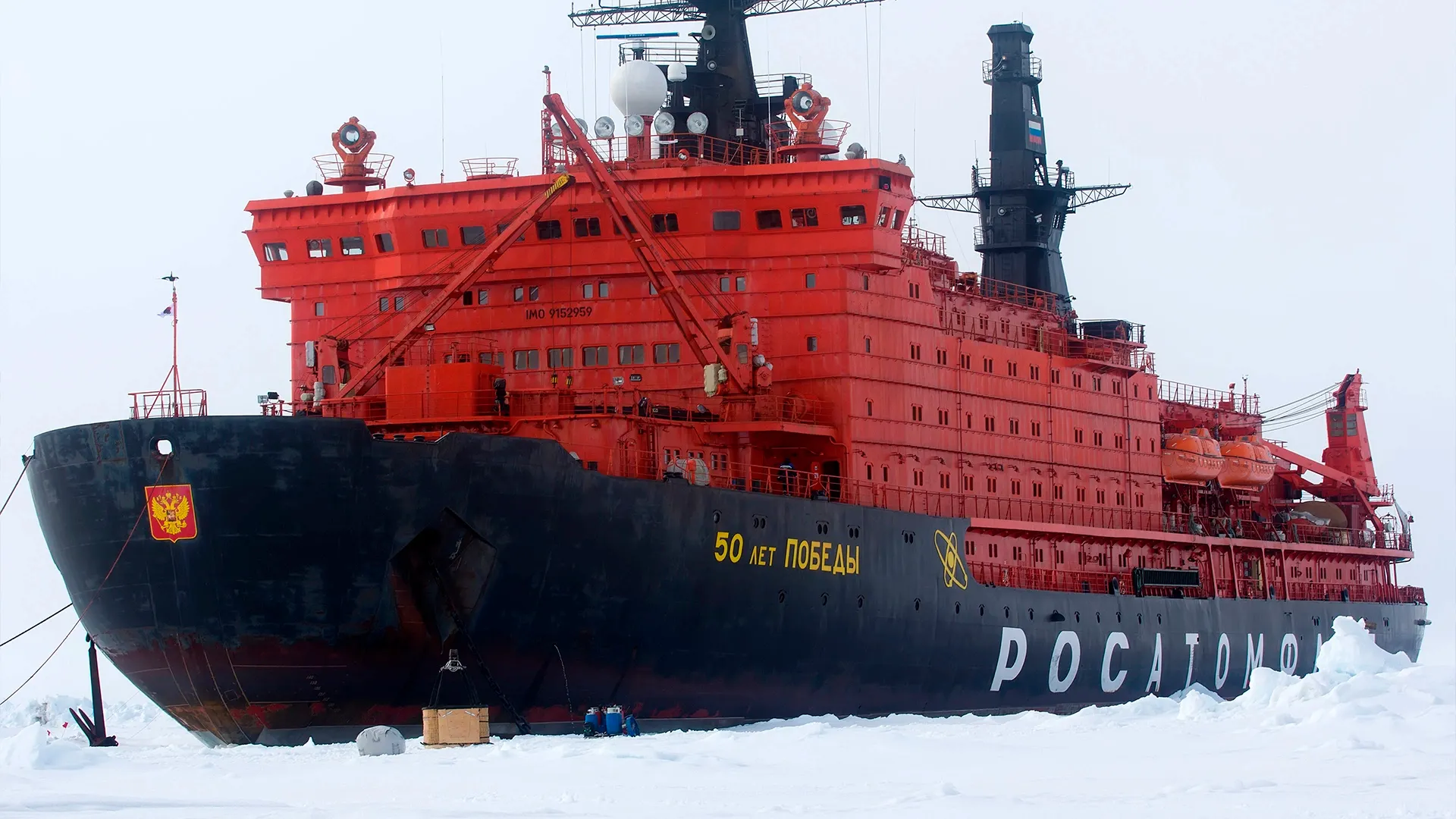 Фото: Maximillian cabinet/shutterstock.com