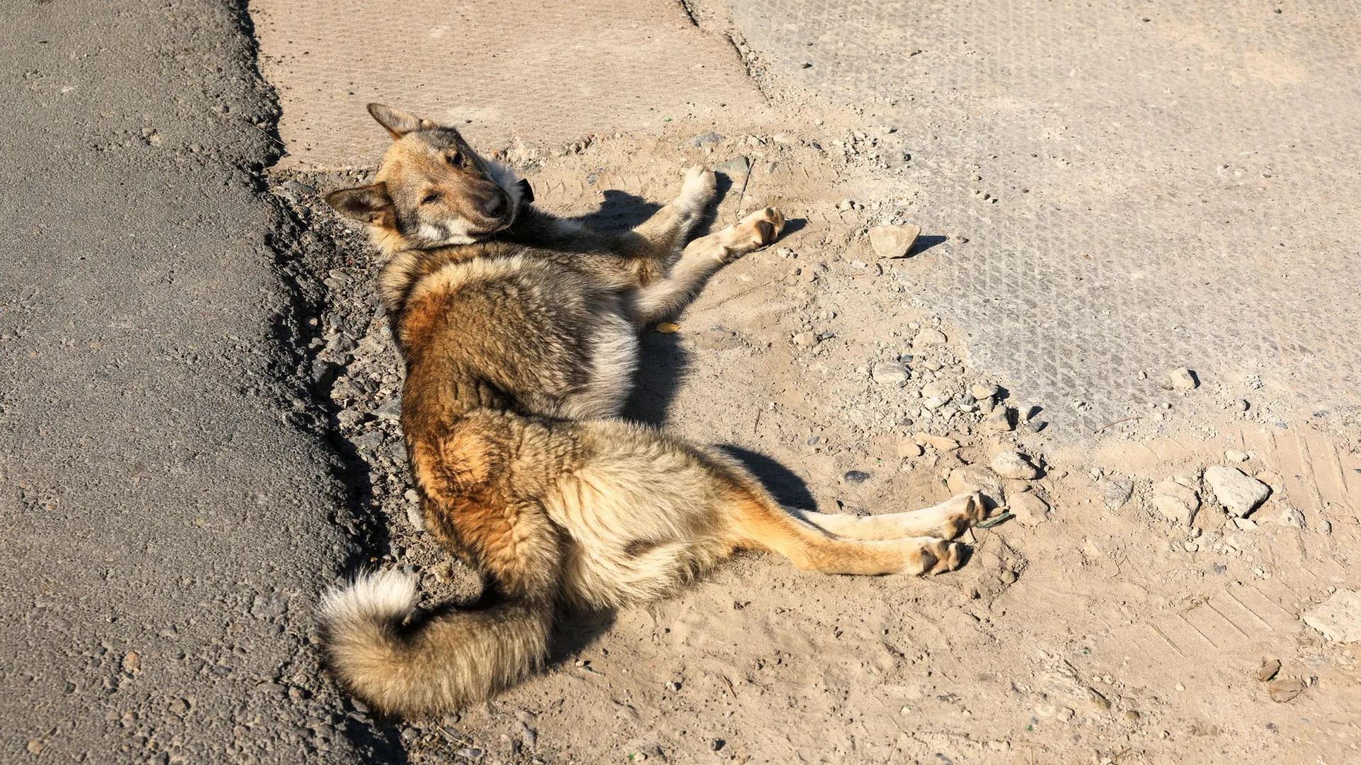 Фото: Юлия Чудинова/«Ямал-Медиа»