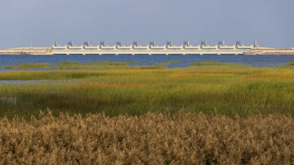 Фото: Andrei Stepanov/Shutterstock/Fotodom