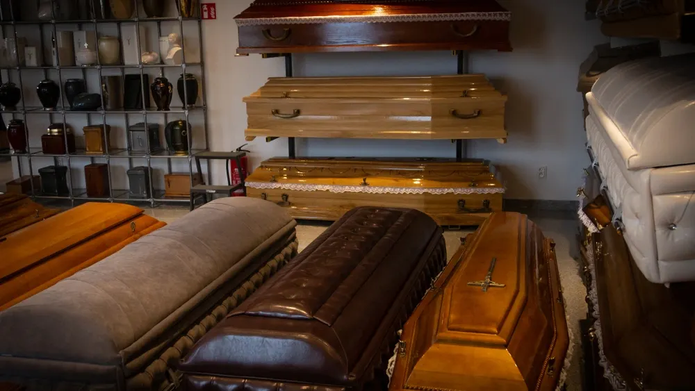 Фото: Nick Bakhur/Shutterstock/Fotodom