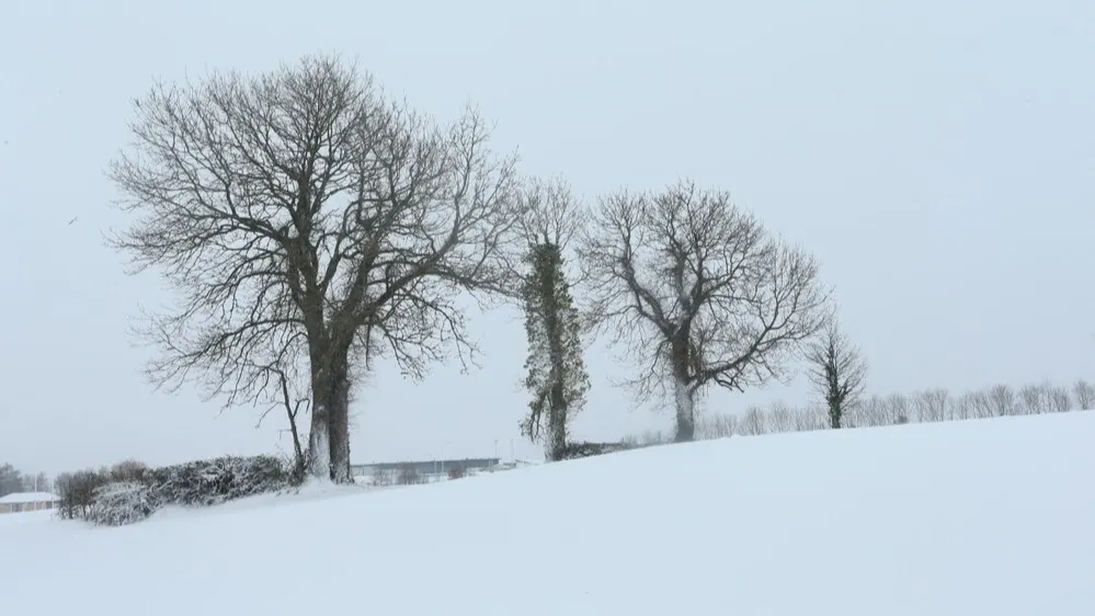 Фото: Brendain Donnelly/Shutterstock/Fotodom