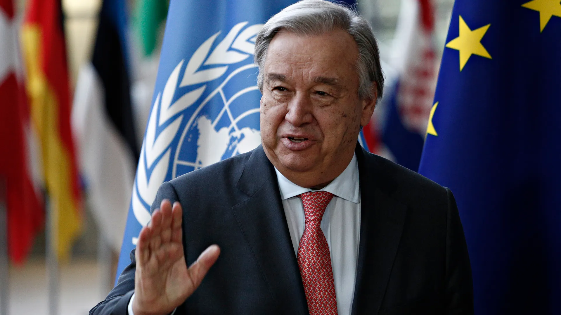 Alexandros Michailidis/Shutterstock.com