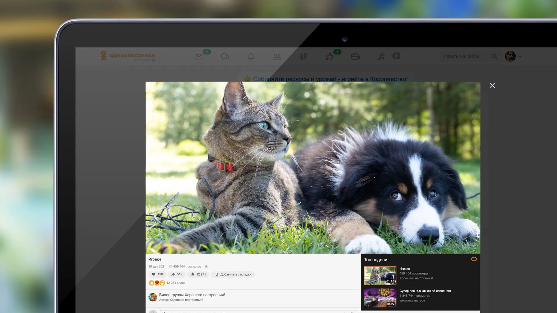 «Одноклассники» запустили нейросеть для борьбы с агрессивными комментариями