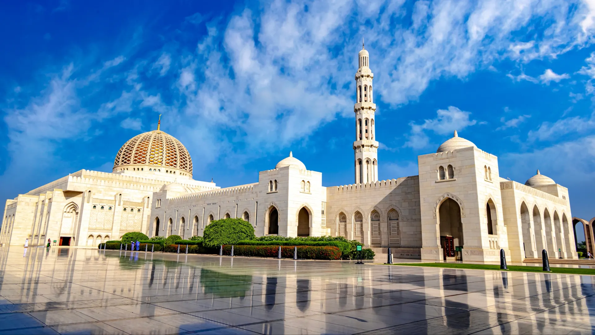 Фото: monticello/Shutterstock/Fotodom