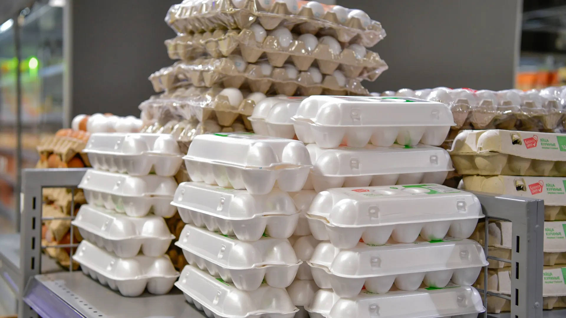 Фото: ANDREY TKACHEV/«Ямал-Медиа»