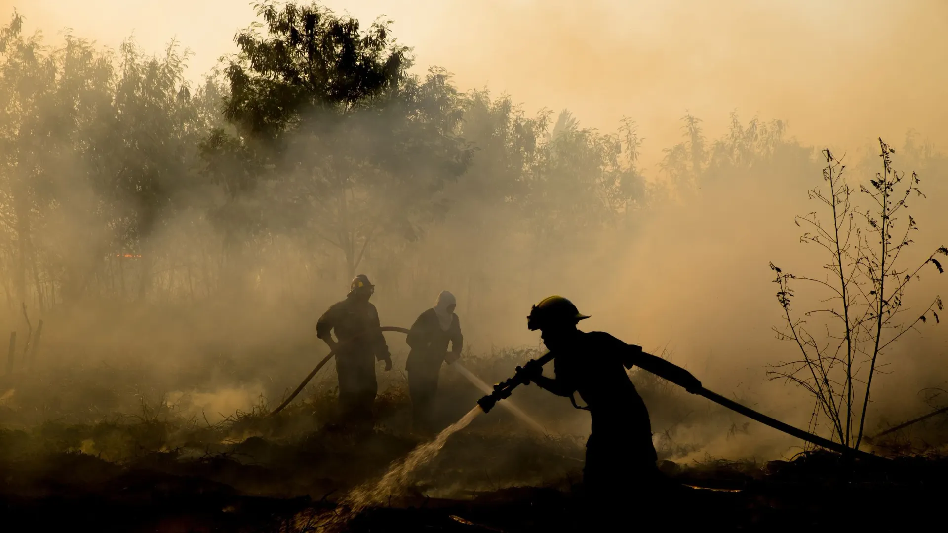 Фото: chuangz/Shutterstock/Fotodom