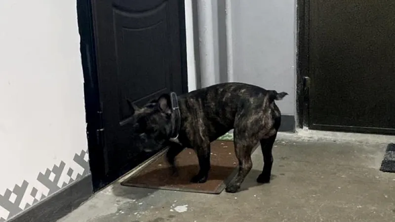 Фото: Татьяна Воложанина / vk.com/regik89