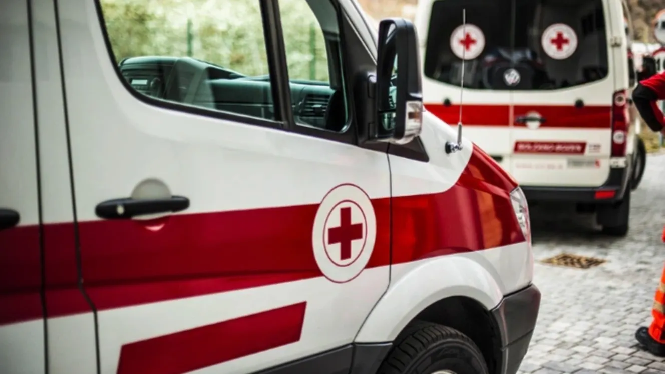 Фото: Pixelaway/Shutterstock/Fotodom