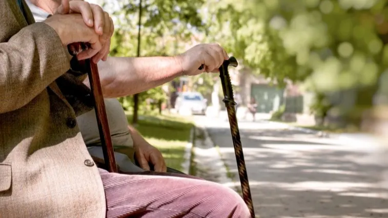 Фото: PhotoIris2021 / Shutterstock.com