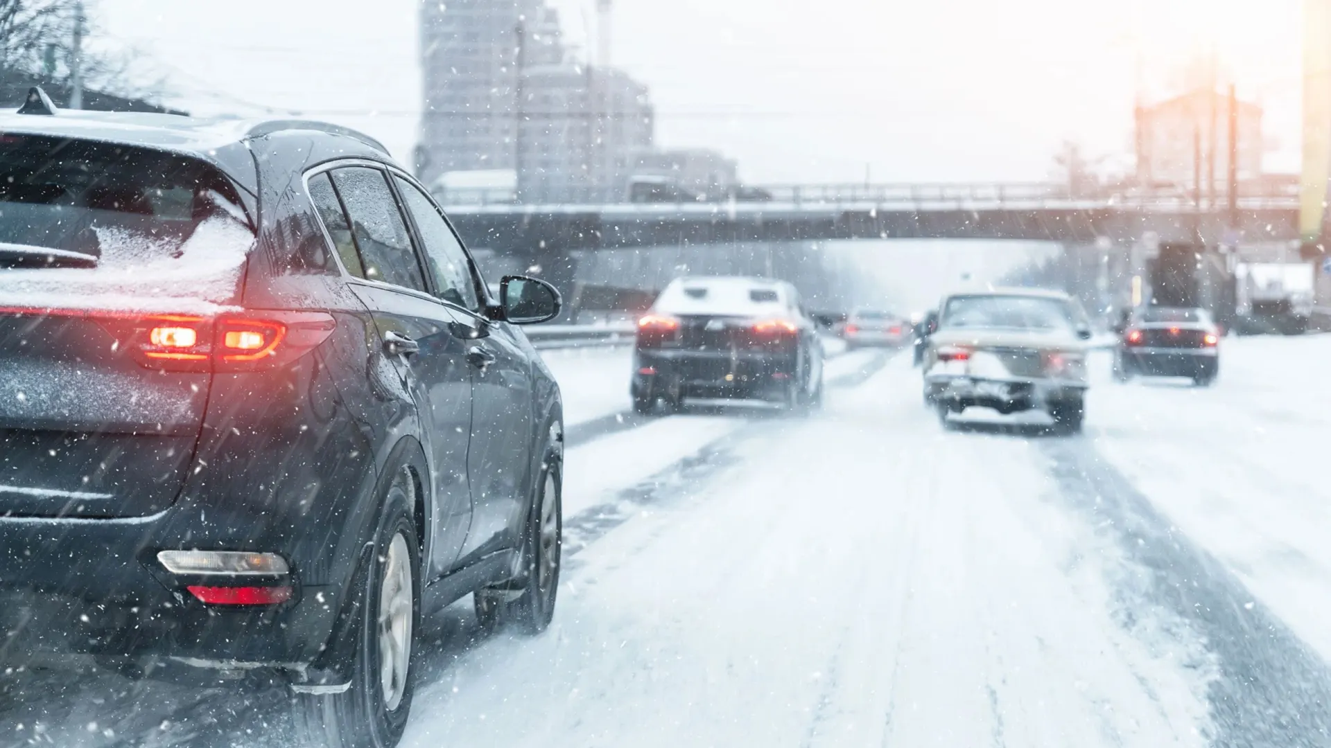 Фото: Gorloff-KV/Shutterstock/Fotodom