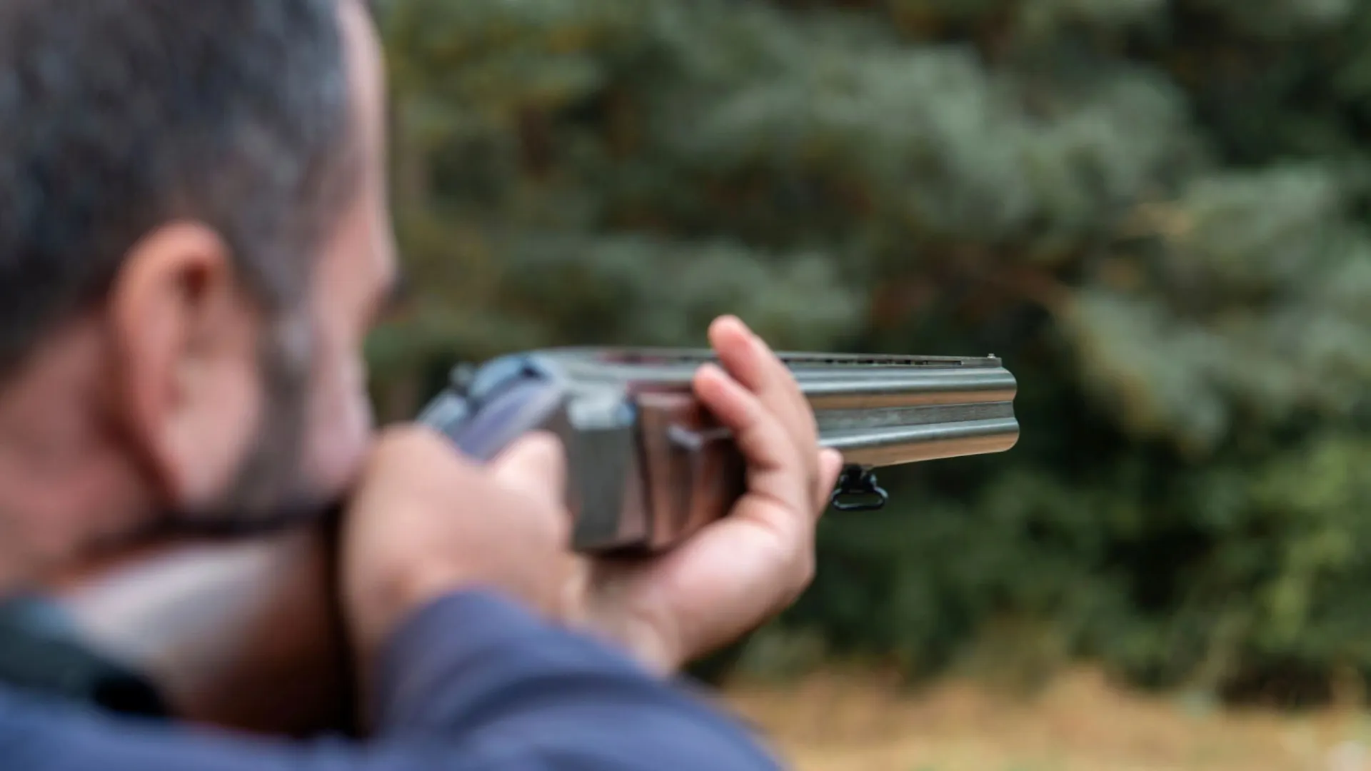 Фото: Vigen M/Shutterstock/Fotodom