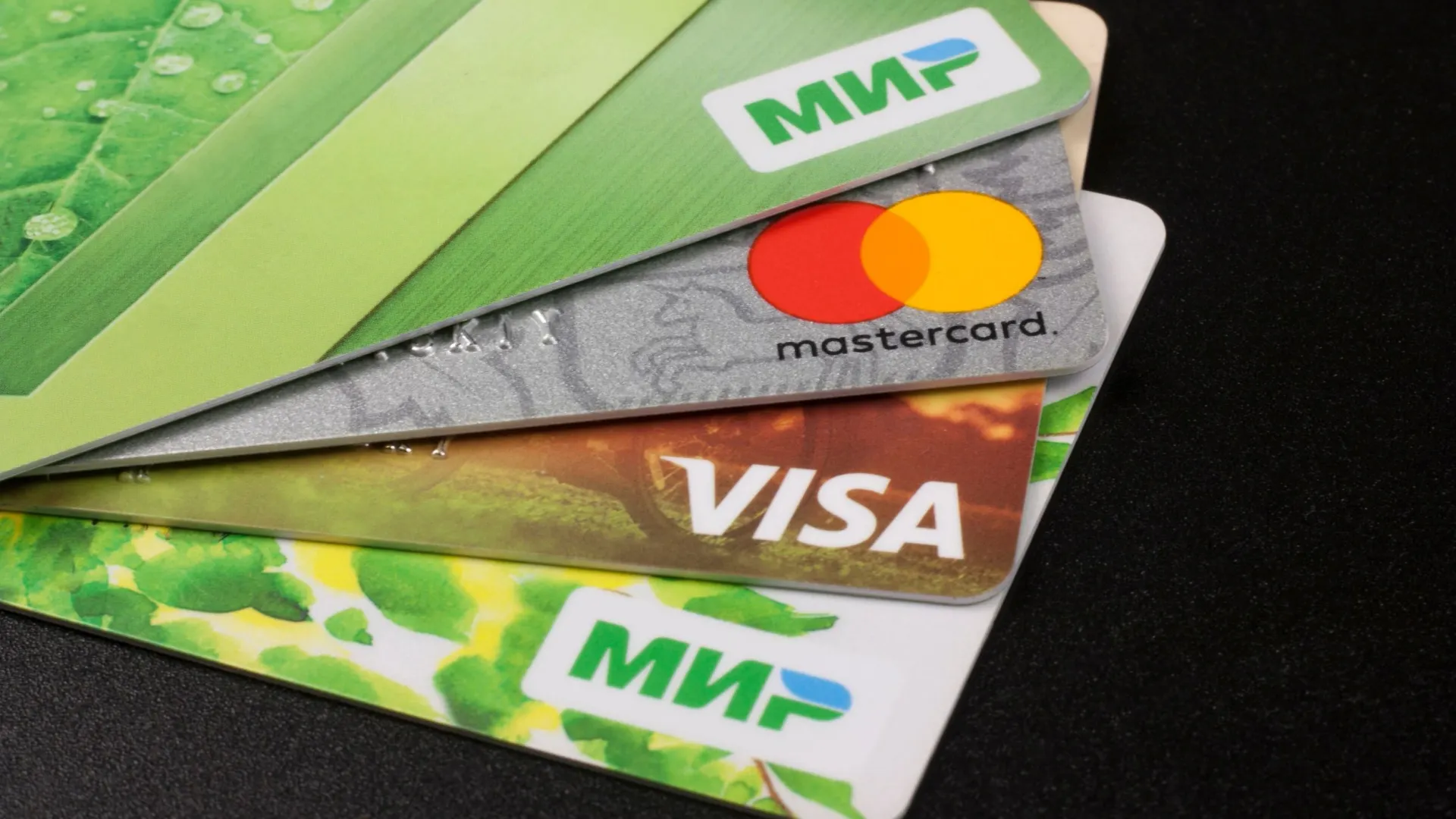 Фото: Melena-Nsk/Shutterstock/Fotodom