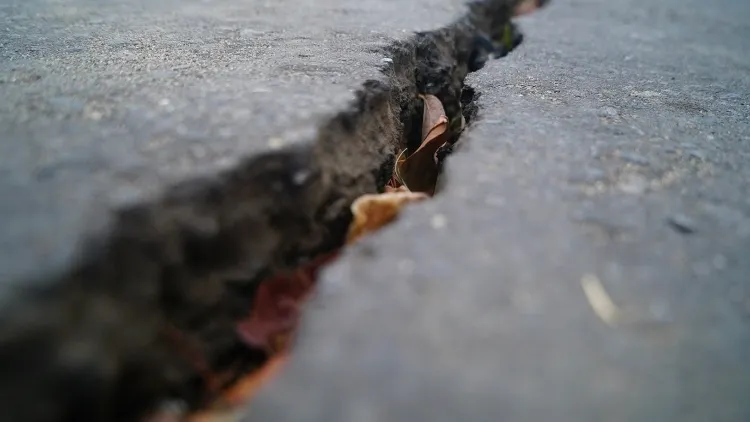 Фото: Raditya/Shutterstock/Fotodom