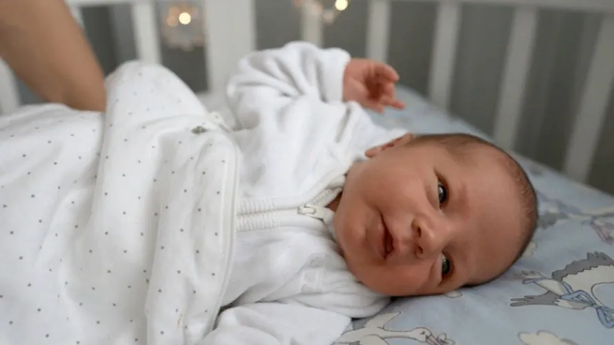 Petrovich Nataliya/Shutterstock.com