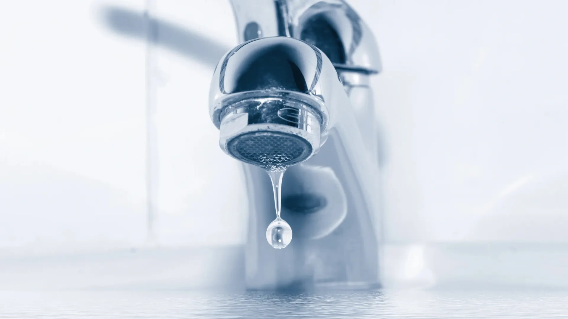 Фото: Lipskiy/Shutterstock/Fotodom