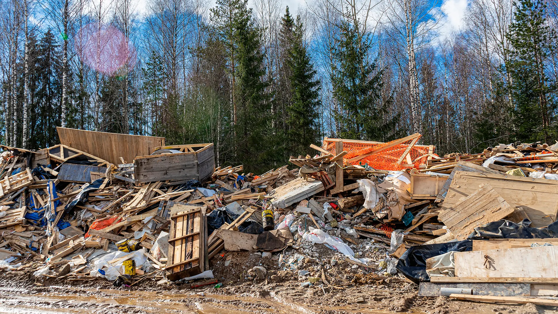 Фото: Pavel Vatsura /Shutterstock.com