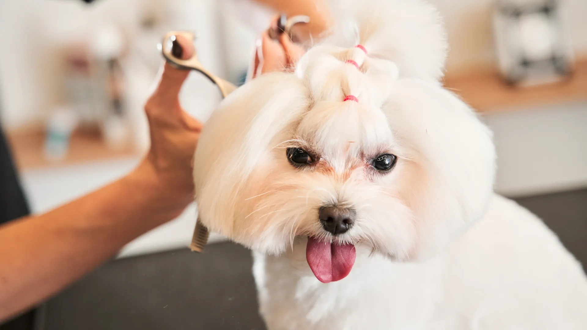 Фото: Olena Yakobchuk/Shutterstock/Fotodom