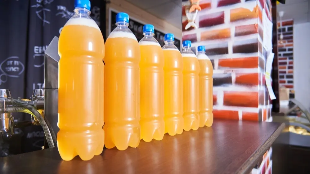 Фото: Maksim Korabelshikov/Shutterstock/Fotodom