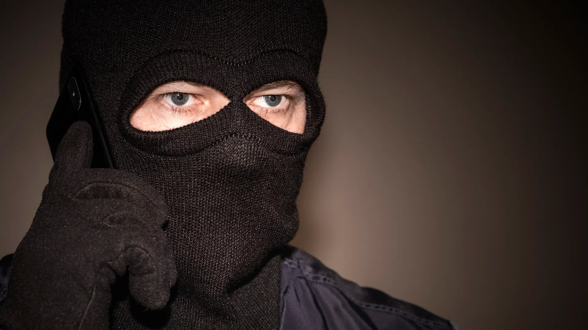 Фото: Andrey Mihaylov / Shutterstock.com