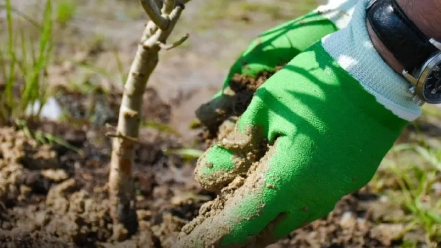 Фото: t.me/gubadm89