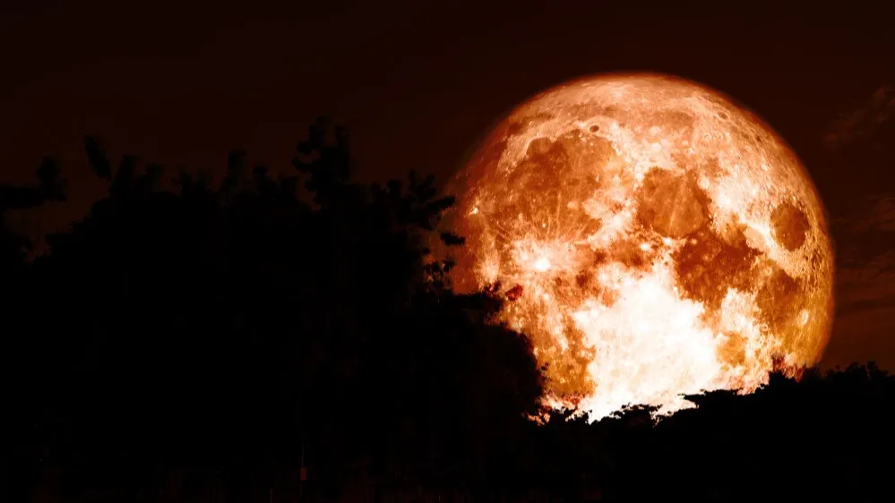 Фото: Darkfoxelixir/Shutterstock/Fotodom