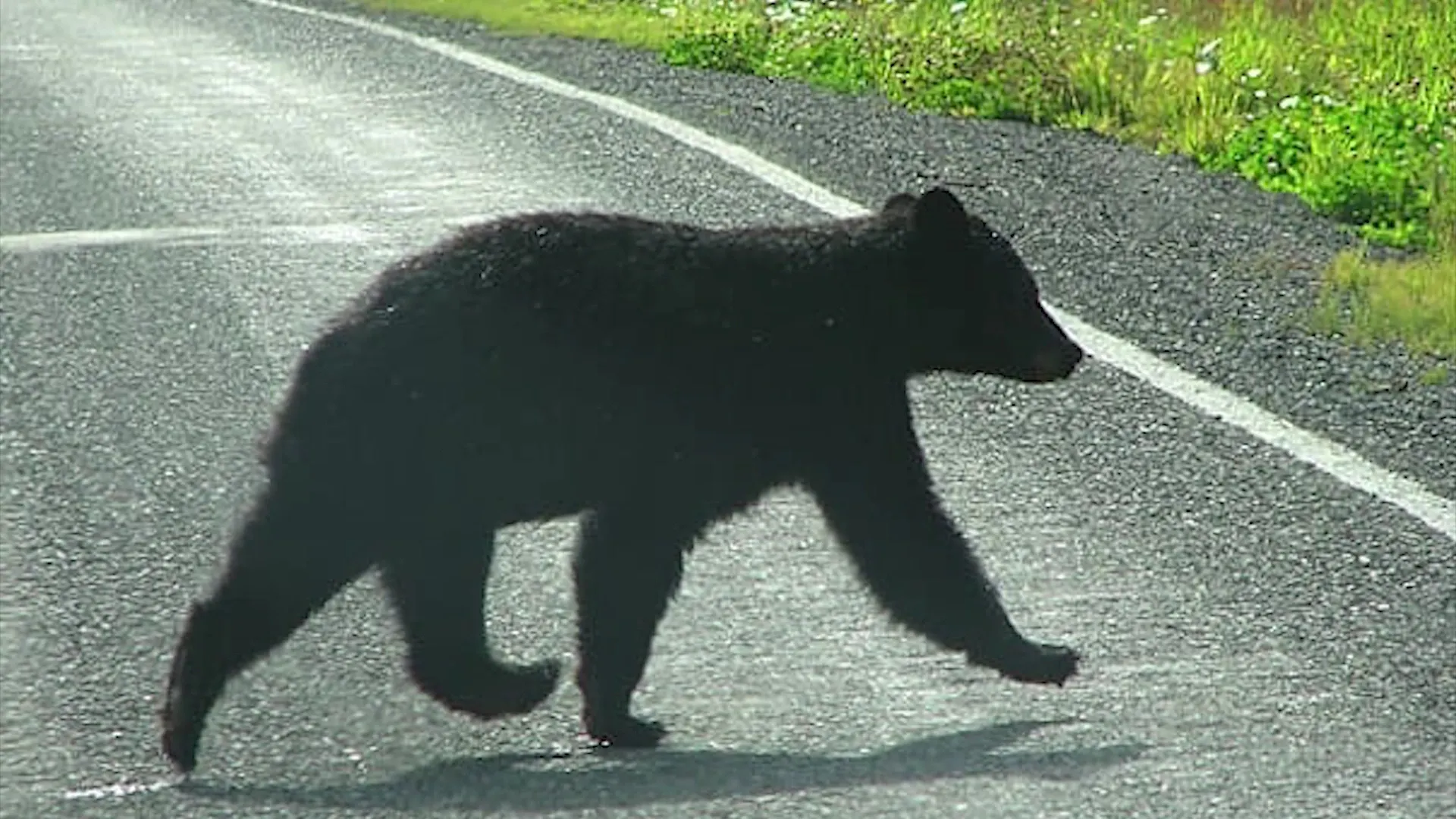 Фото: группа «Губкинский.Ком» во «ВКонтакте»