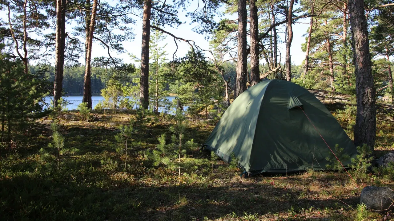 Фото: пресс-служба губернатора ЯНАО