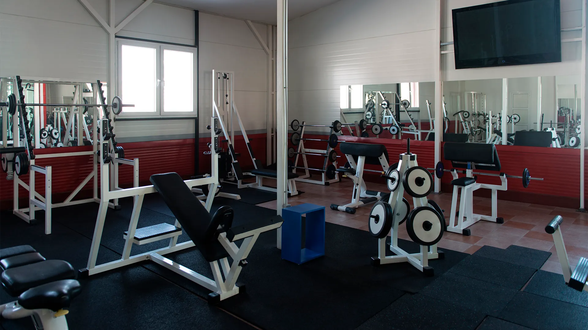 Фото: Jasminko Ibrakovic/shutterstock.com