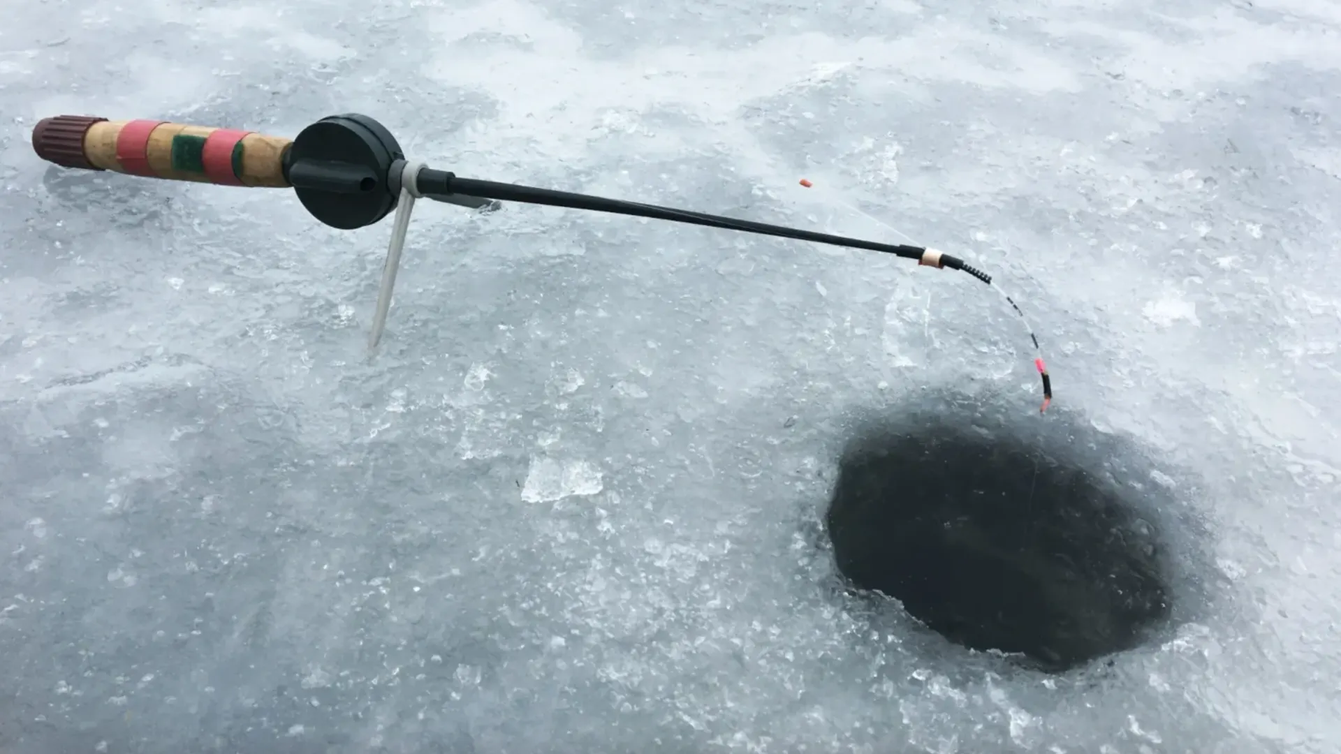 Фото: Vladyslav Horoshevych/Shutterstock/Fotodom