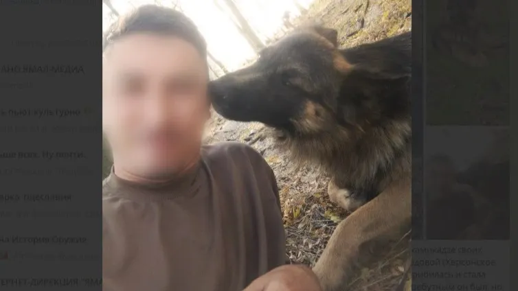 Фото: t.me/zimenkin