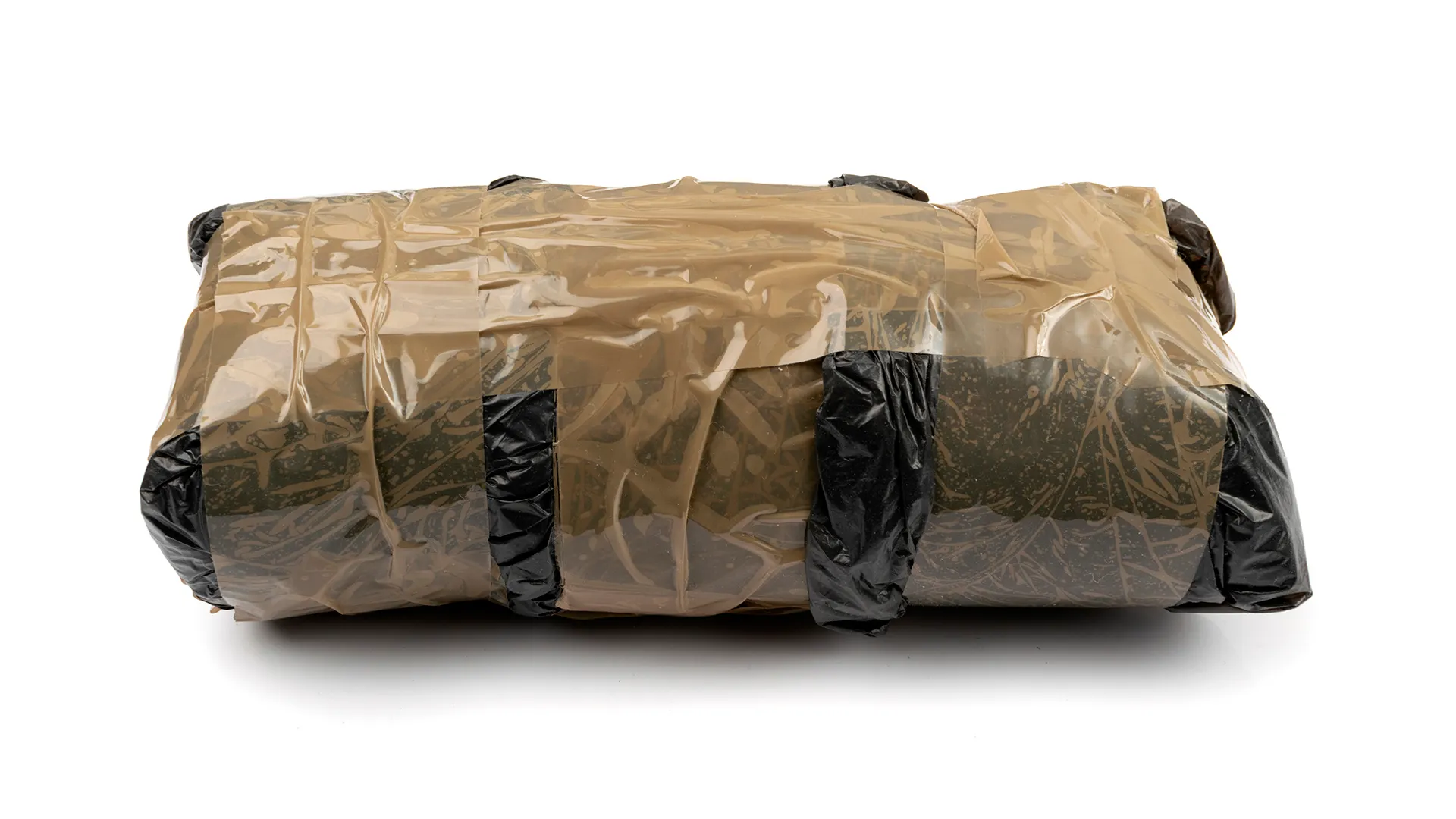 Фото: Artem Stepanov/shutterstock.com