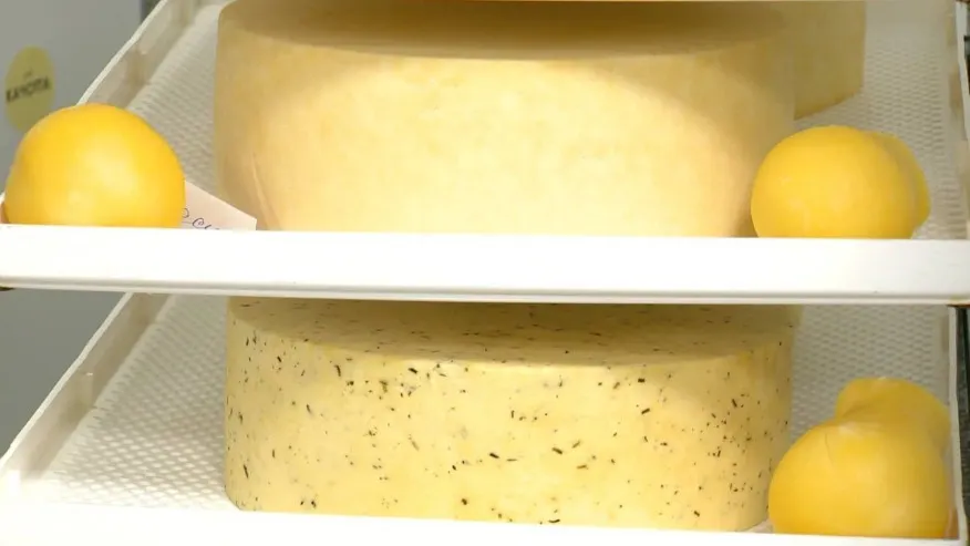 Фото: t.me/romanovblog