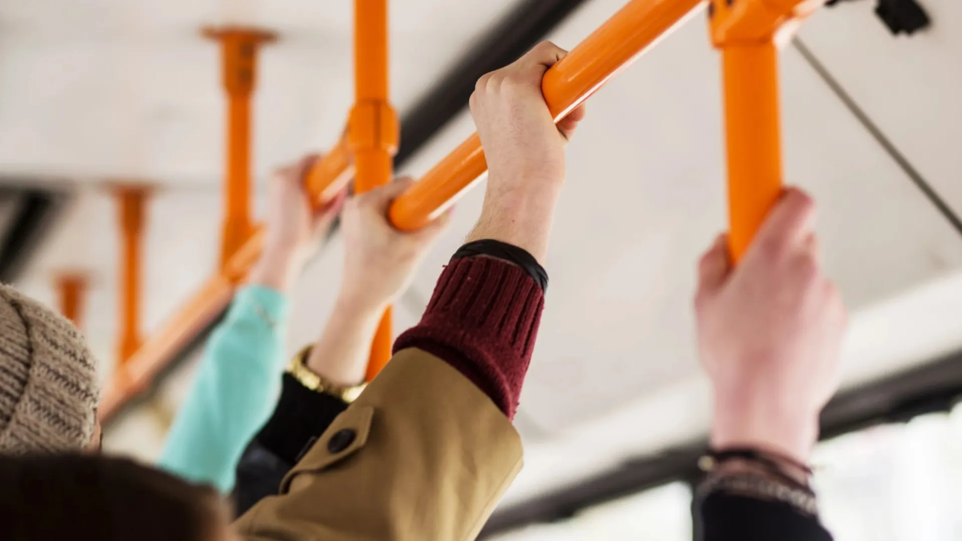 Фото: Roman Seliutin/Shutterstock/Fotodom