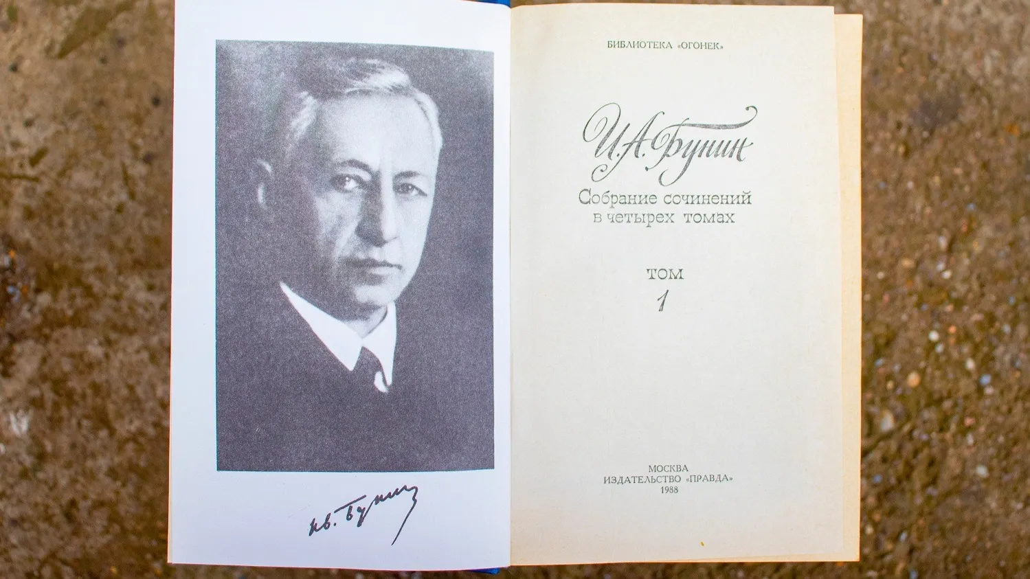 Фото: Alexandr Serebrynnikov/Shutterstock/Fotodom