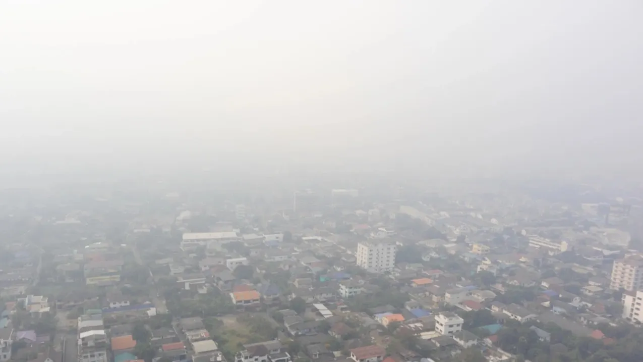 Фото: PICHET IAM-OAD/shutterstock.com