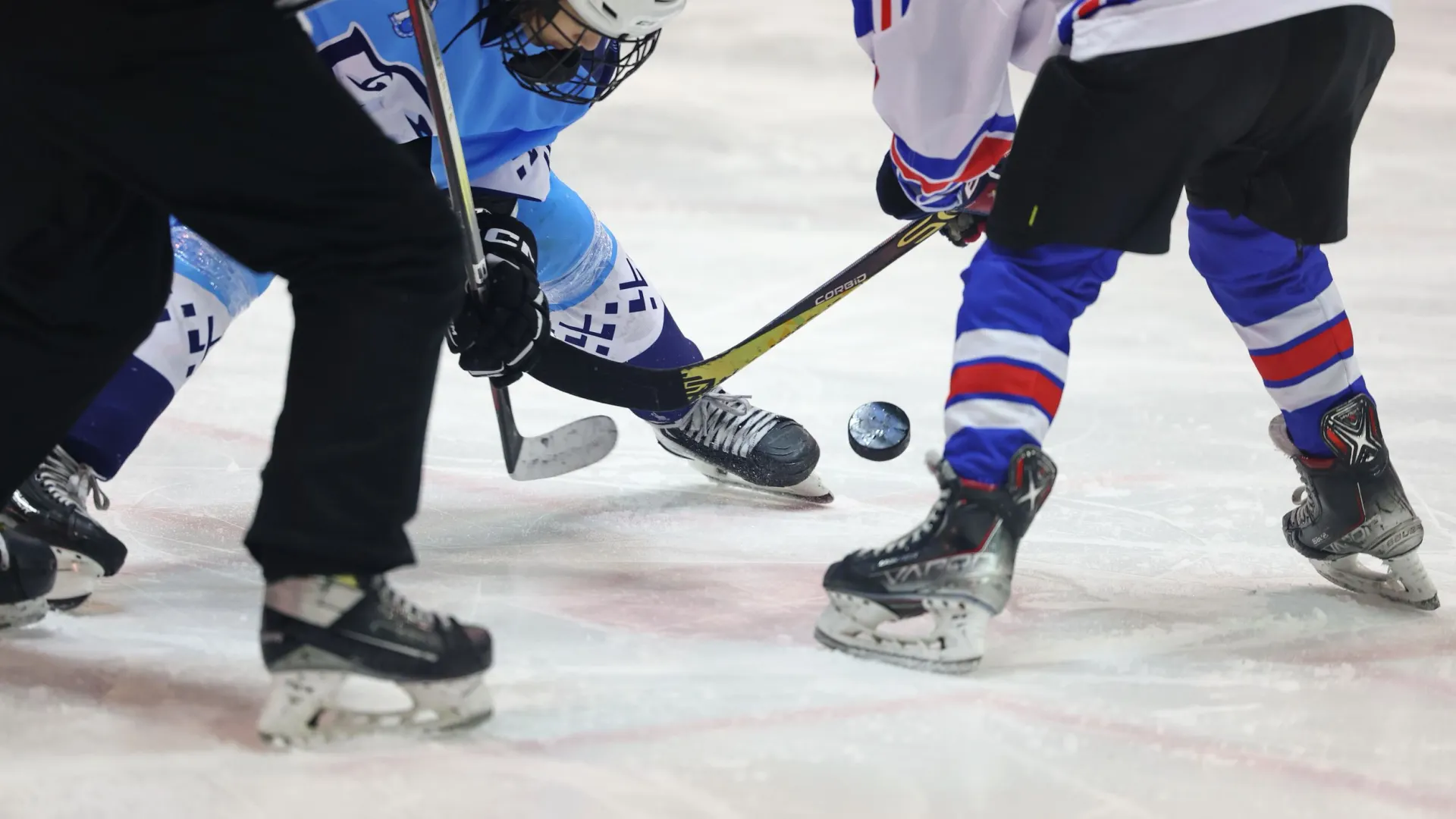 Фото: Андрей Ткачев/«Ямал-Медиа»