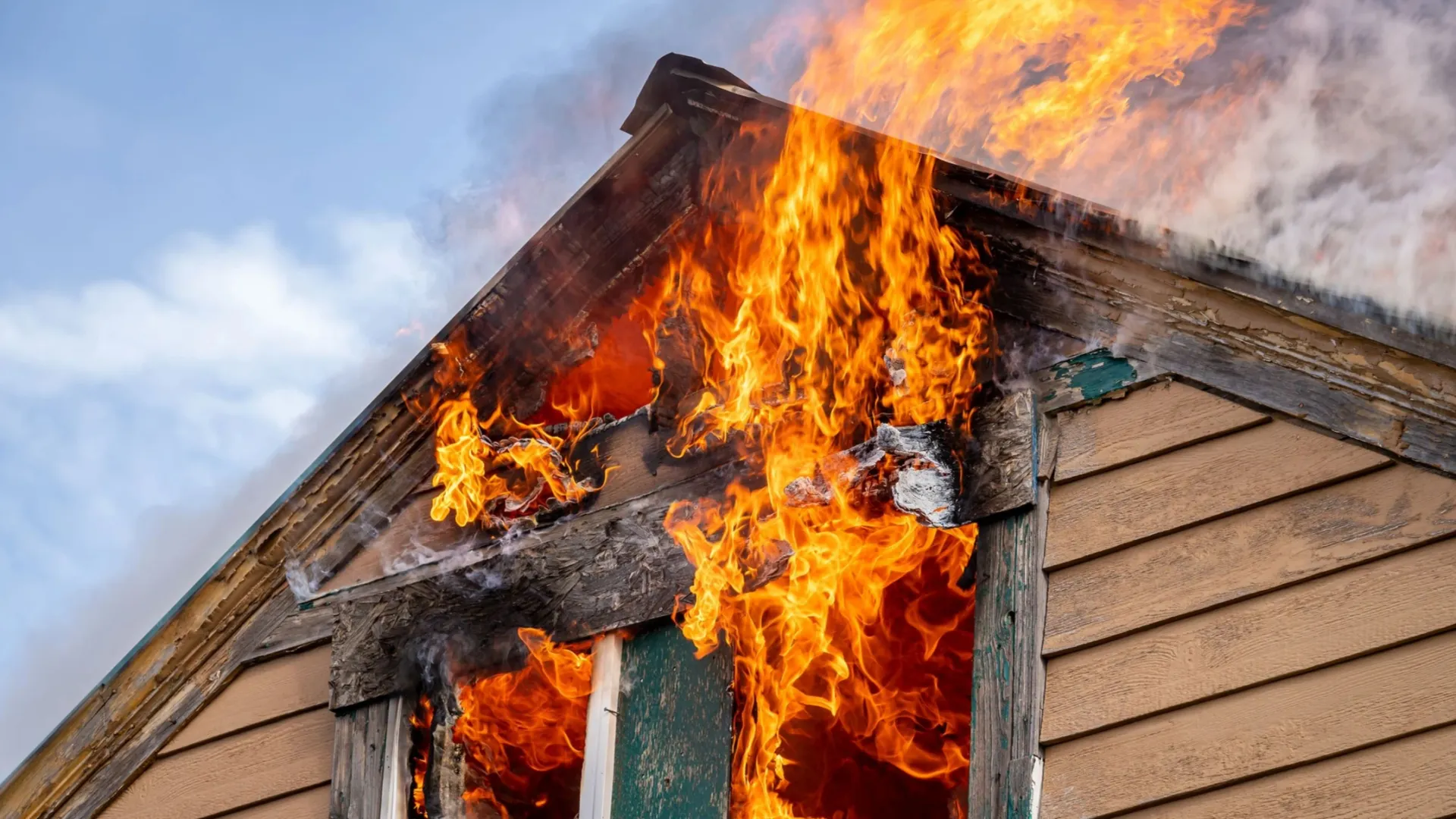 Фото: My Photo Buddy/Shutterstock/Fotodom