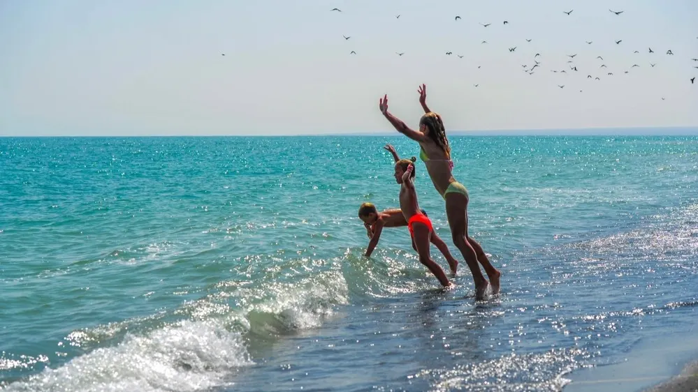 Фото: Alex prokopenko/Shutterstock/Fotodom