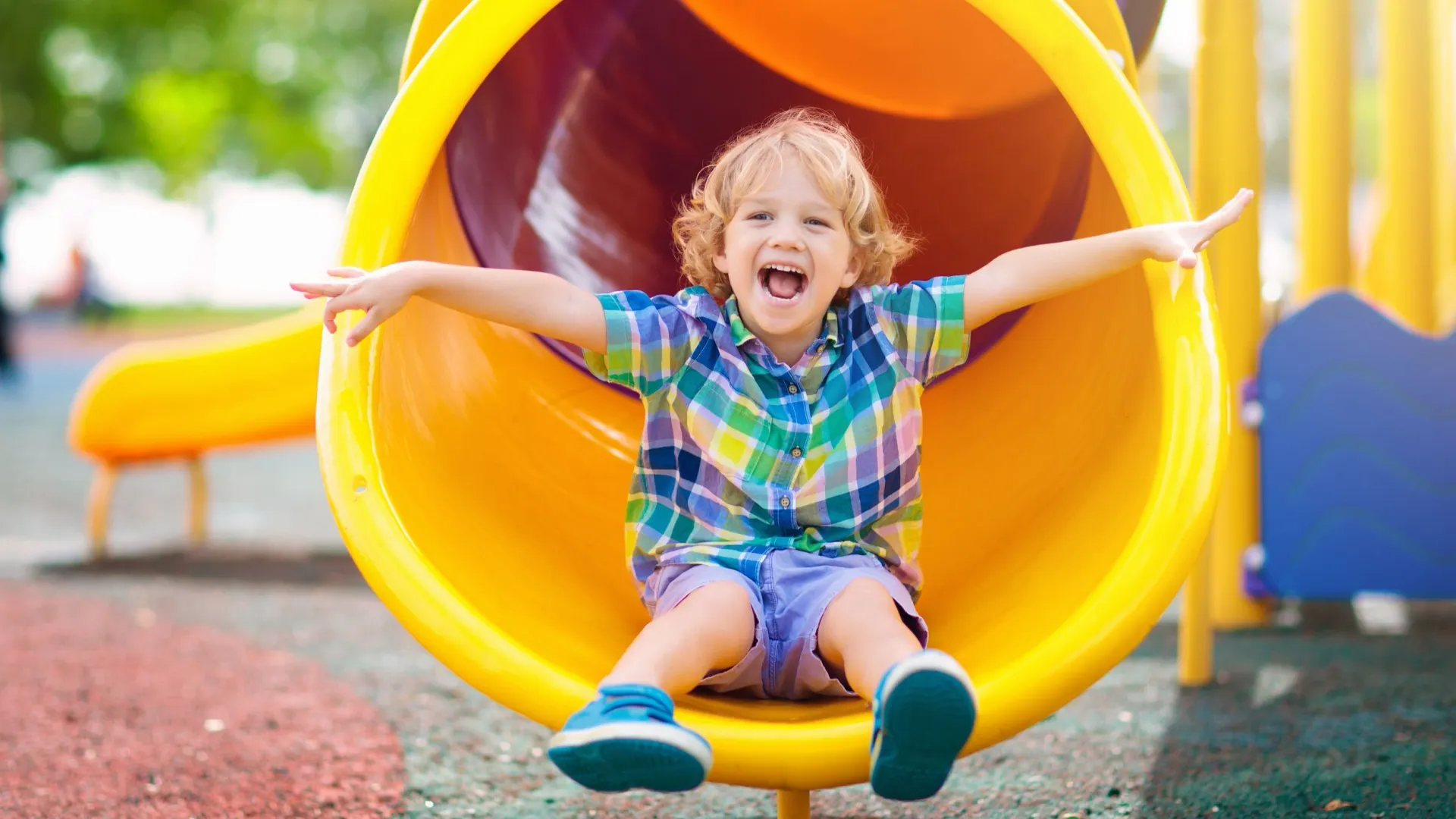 Фото: FamVeld/Shutterstock/Fotodom