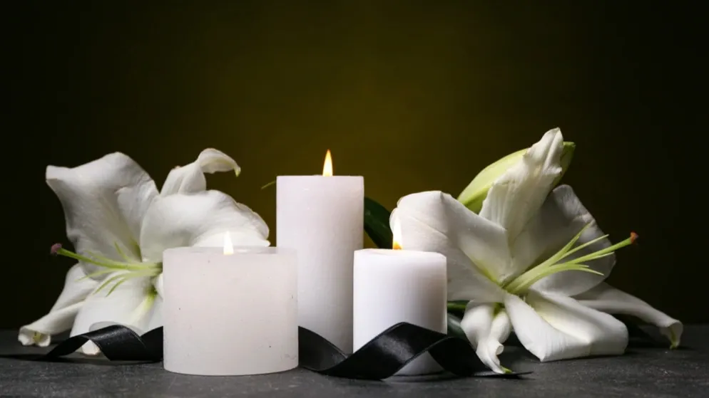 Фото: Pixel-Shot/Shutterstock/Fotodom