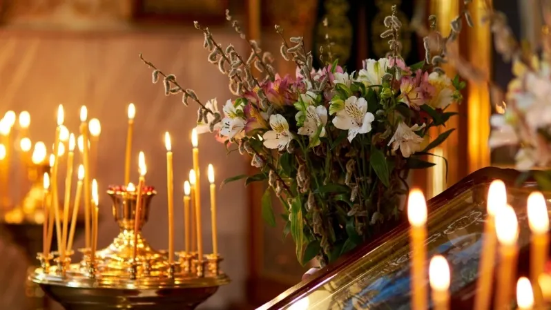 Фото: Foto_Nikata/Shutterstock/Fotodom