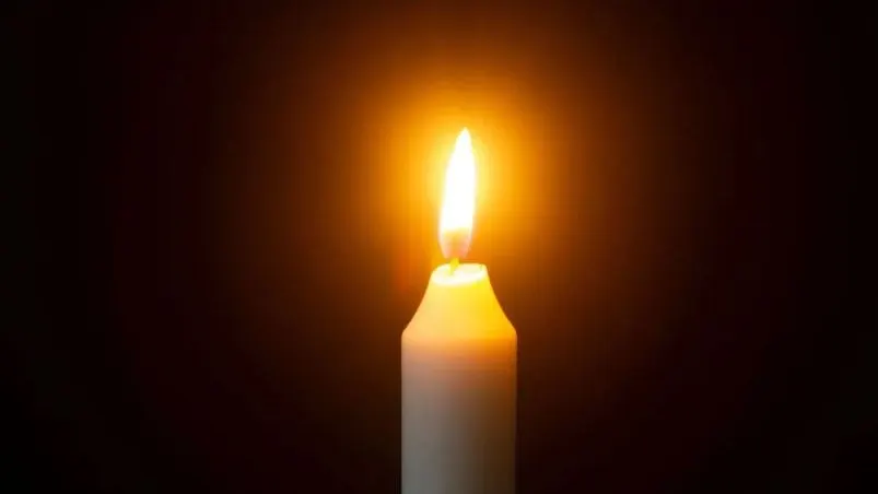 Фото: Al Alex/Shutterstock/Fotodom