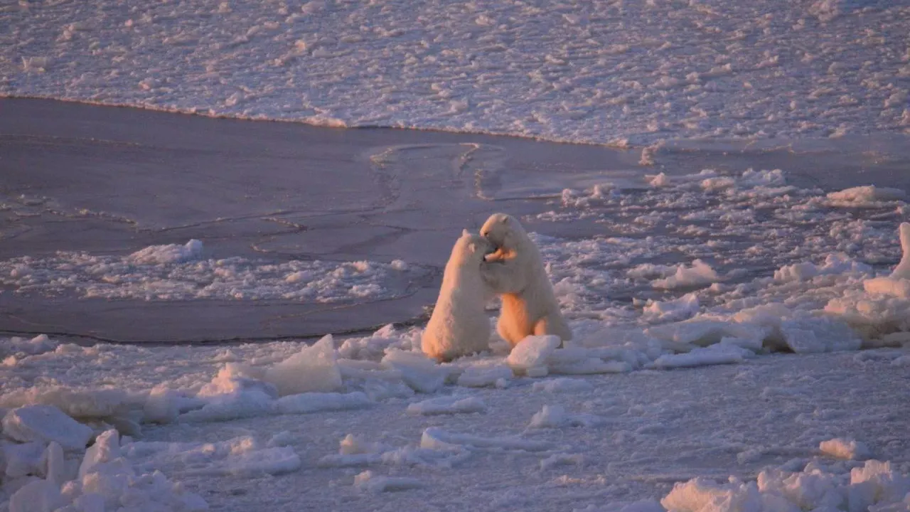 Фото: Александр Пикта/ФГУП «Атомфлот»