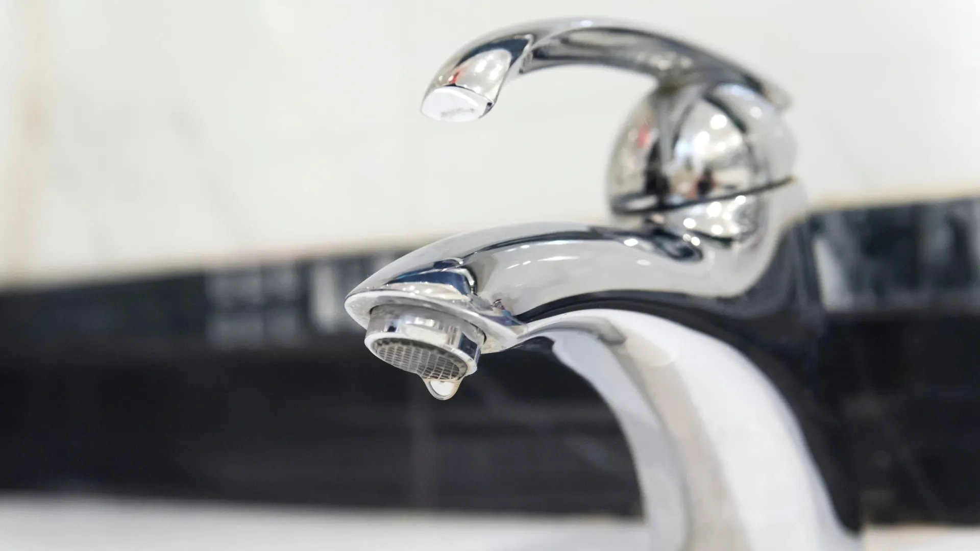 Фото: Golub Oleksii/Shutterstock/Fotodom