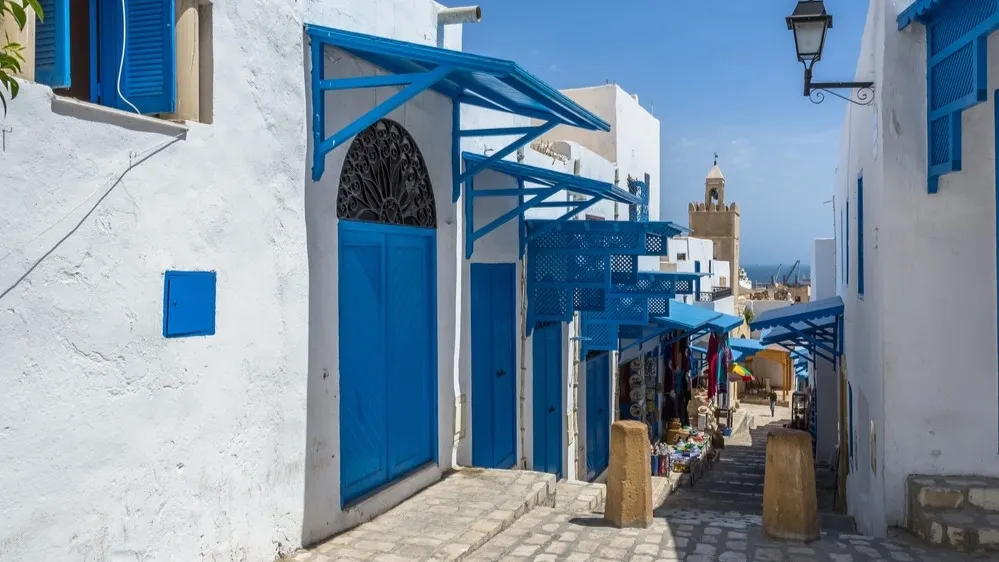 Тунис. Фото: Mltz/Shutterstock/Fotodom