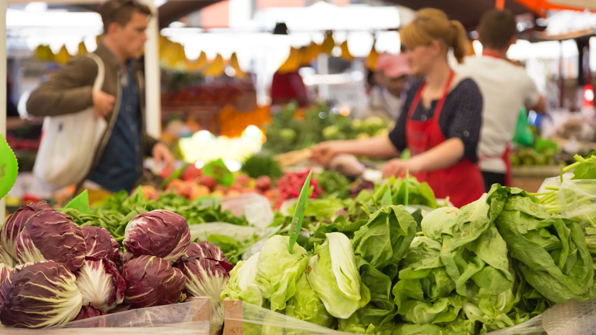 Фото: Matej Kastelic/Shutterstock/Fotodom